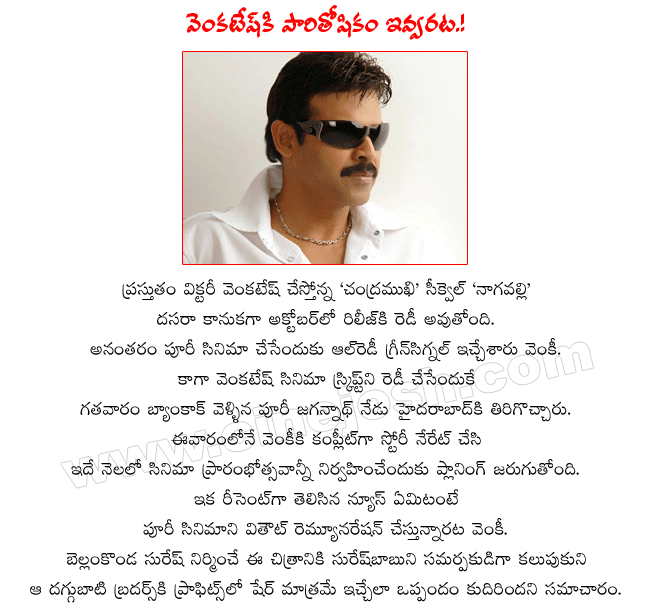 victory venkatesh,telugu hero venkatesh latest film nagavalli,chandramukhi sequel,venky and puri combo soon,producers bellamkonda suresh and d.sureshbabu  victory venkatesh, telugu hero venkatesh latest film nagavalli, chandramukhi sequel, venky and puri combo soon, producers bellamkonda suresh and d.sureshbabu